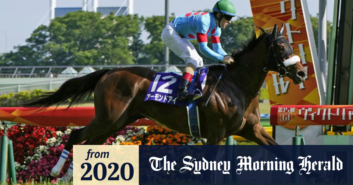 Epic Japan Cup victory for Almond Eye, Wilde Jericho Cup at 'Bool